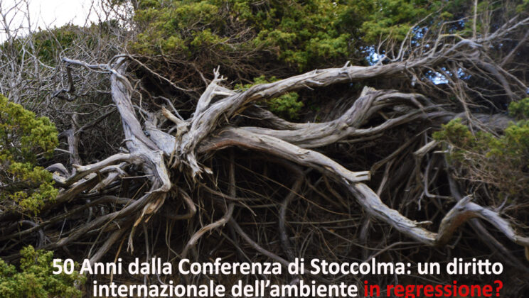 50 Anni dalla Conferenza di Stoccolma: un diritto internazionale dell’ambiente in regressione?