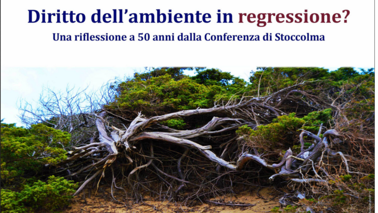 Diritto dell’ambiente in regressione?