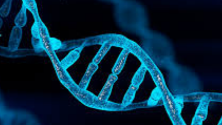 Gene Editing and Technological Advances: Which Role for International Law? Call for Papers